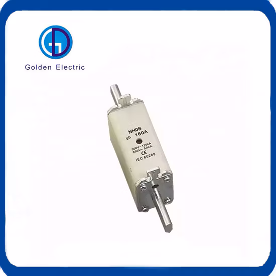 Fusibili in ceramica HRC con doppio indicatore Nh Tipo 125A 250A Collegamenti del blocco fusibili a lama Nh1 Nh2 Nh3 Bassa tensione